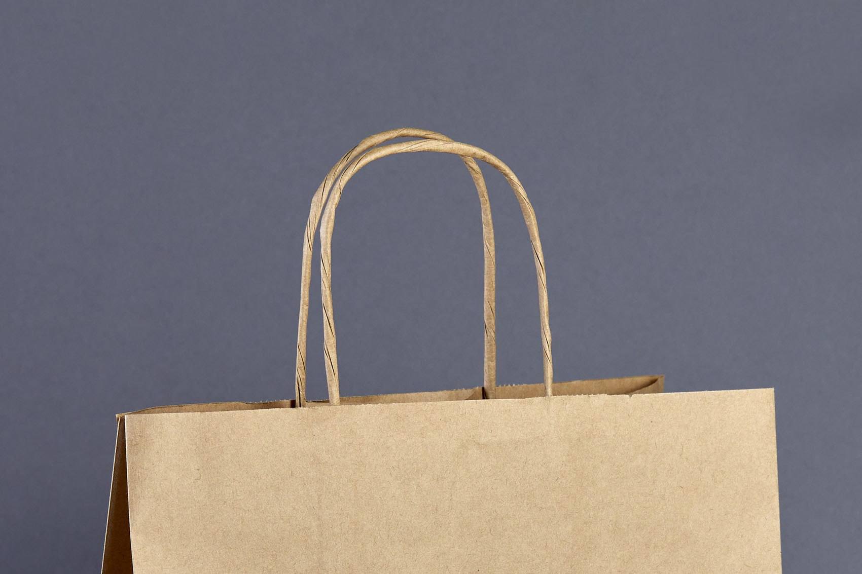 Twisted Handle Paper Bags | Cost Effective & Strong | Fortoak